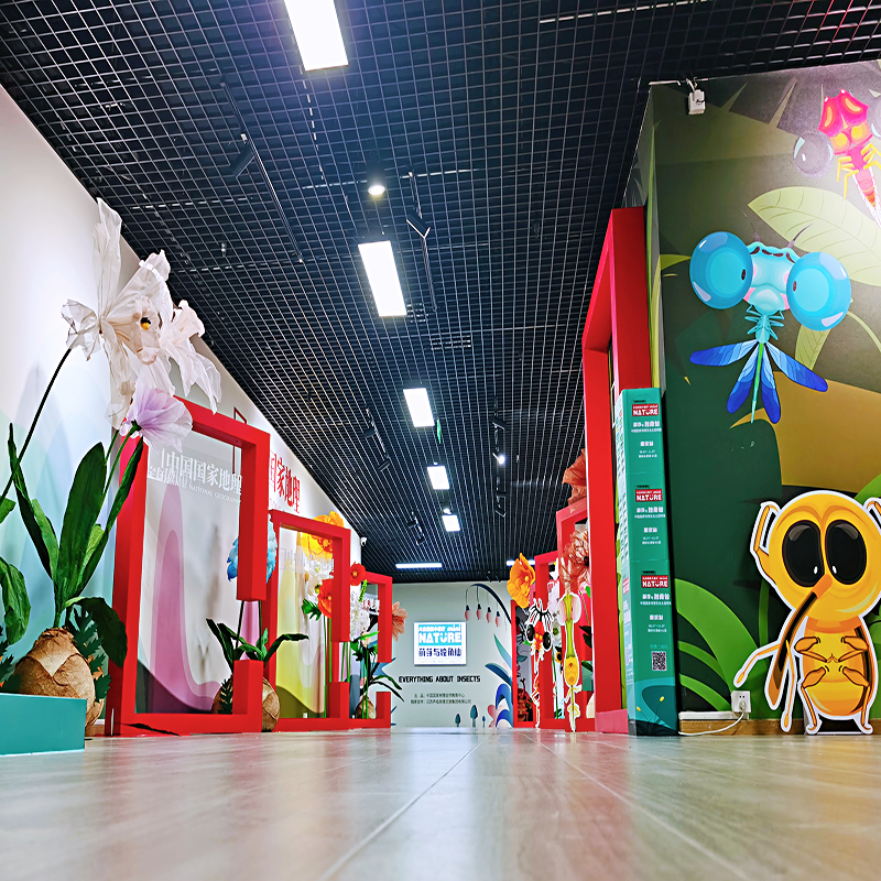 中國(guó)國(guó)家地理自然教育中心昆蟲(chóng)展巡展